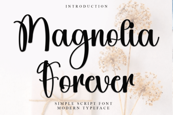 Magnolia Forever: A Designer’s Guide to This Elegant Typeface